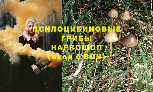 первитин Горнозаводск