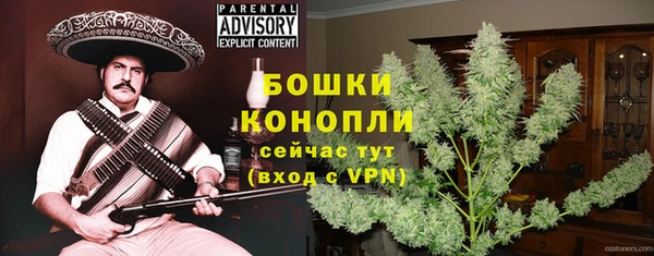 МДПВ Горно-Алтайск