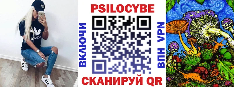 Псилоцибиновые грибы Cubensis  Купить где  Екатеринбург 